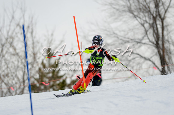 alpine-Feb19-2017-DSC_0431
