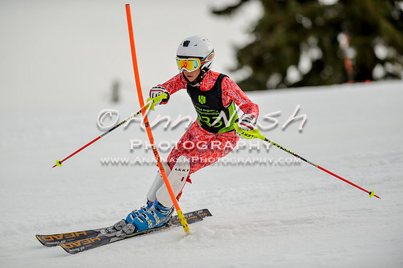 alpine-Feb19-2017-DSC_0710
