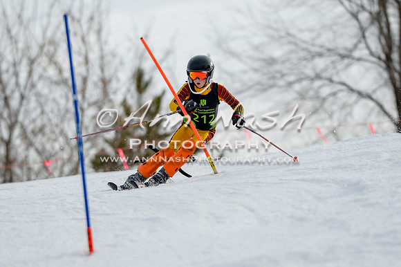 alpine-Feb19-2017-DSC_0934