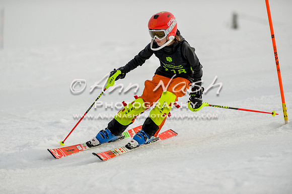 alpine-Feb19-2017-DSC_0908