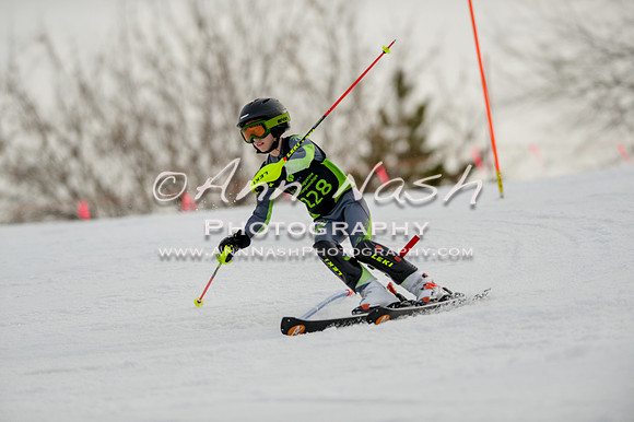 alpine-Feb19-2017-DSC_0615