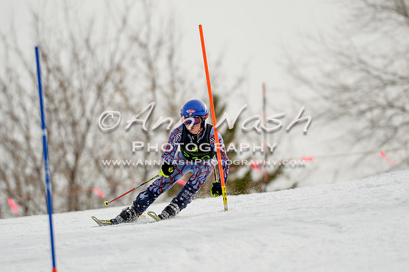 alpine-Feb19-2017-DSC_0390