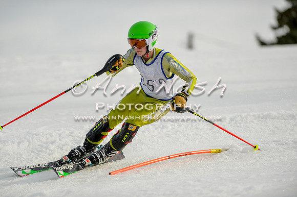 alpine-Feb19-2017-DSC_1231