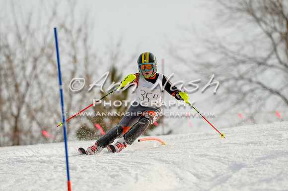 alpine-Feb19-2017-DSC_1356