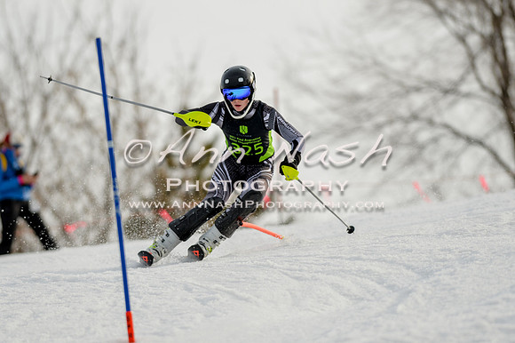 alpine-Feb19-2017-DSC_1145