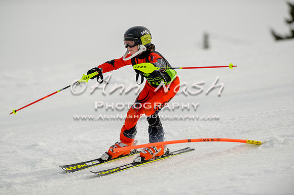 alpine-Feb19-2017-DSC_0826