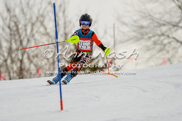 alpine-Feb19-2017-DSC_0539
