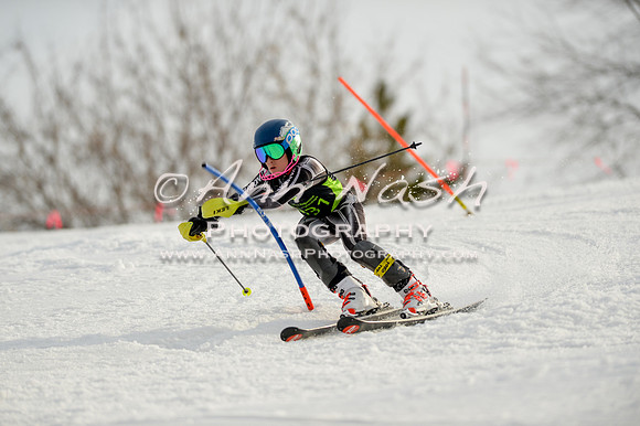 alpine-Feb19-2017-DSC_1320