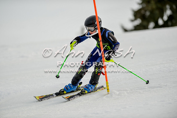 alpine-Feb19-2017-DSC_0982