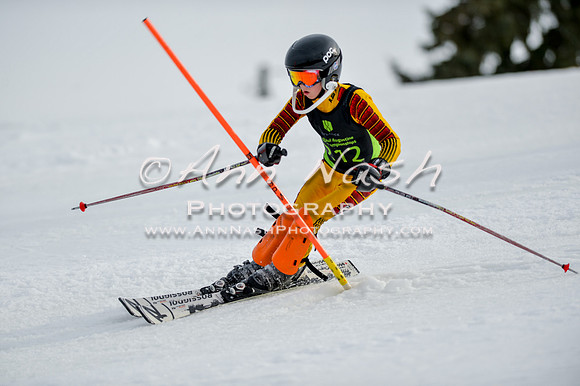 alpine-Feb19-2017-DSC_0940