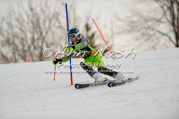 alpine-Feb19-2017-DSC_0566