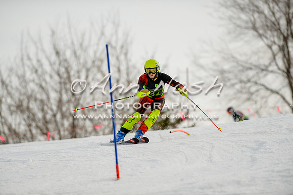 alpine-Feb19-2017-DSC_0997