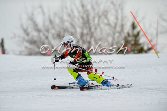 alpine-Feb19-2017-DSC_0404