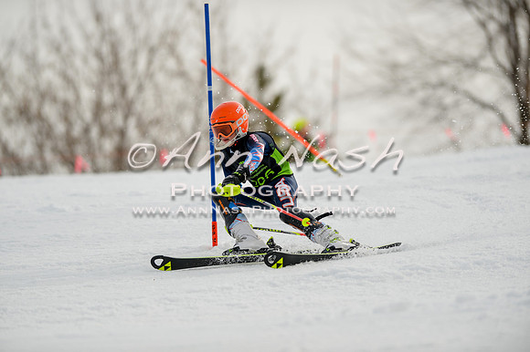 alpine-Feb19-2017-DSC_0466
