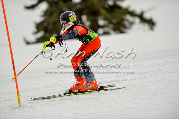 alpine-Feb19-2017-DSC_0822