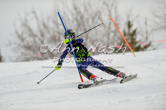 alpine-Feb19-2017-DSC_0325
