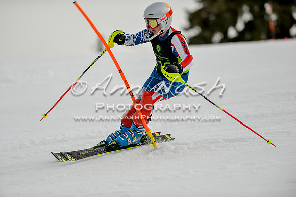 alpine-Feb19-2017-DSC_0718
