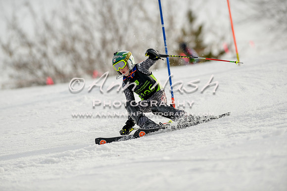 alpine-Feb19-2017-DSC_0864