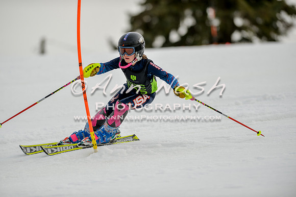 alpine-Feb19-2017-DSC_0689