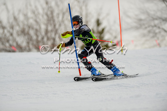 alpine-Feb19-2017-DSC_0508