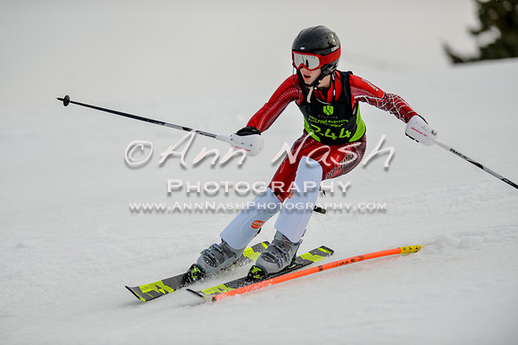 alpine-Feb19-2017-DSC_0653