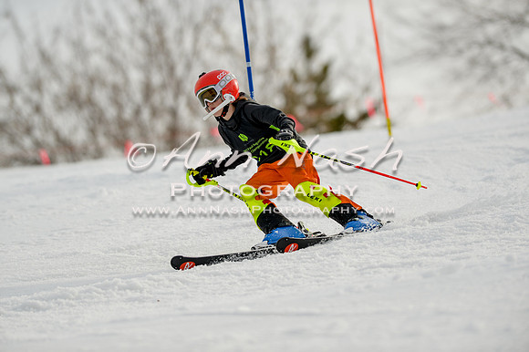 alpine-Feb19-2017-DSC_0906