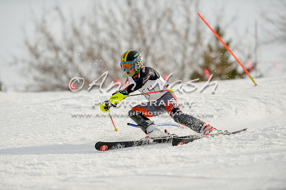 alpine-Feb19-2017-DSC_1358