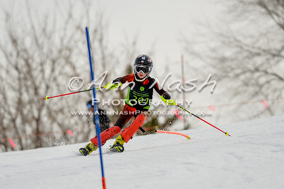 alpine-Feb19-2017-DSC_0434