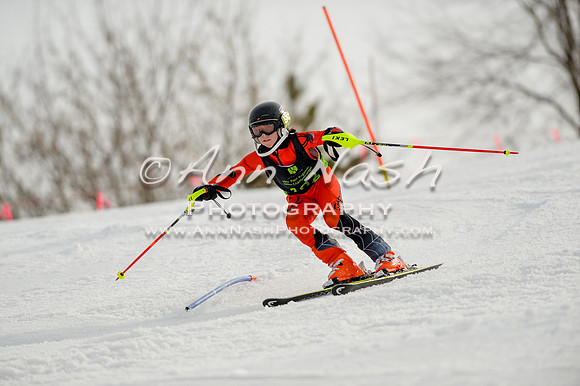 alpine-Feb19-2017-DSC_0820