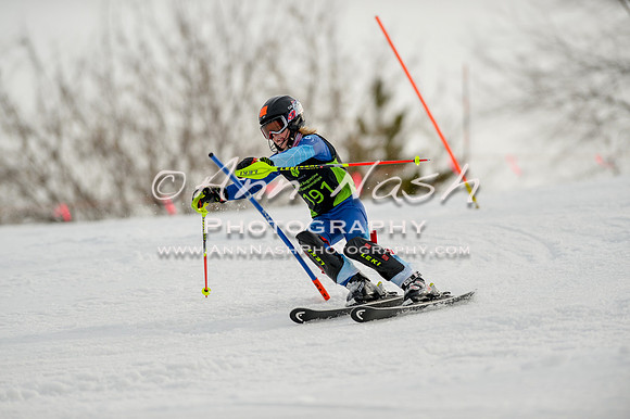 alpine-Feb19-2017-DSC_0777