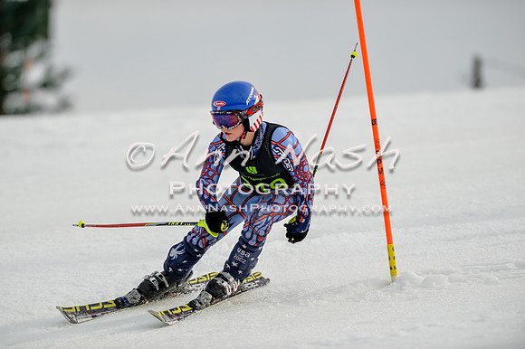 alpine-Feb19-2017-DSC_0399