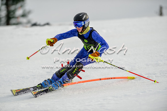 alpine-Feb19-2017-DSC_0311