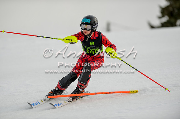 alpine-Feb19-2017-DSC_0603
