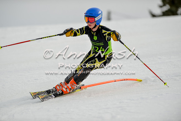 alpine-Feb19-2017-DSC_0489