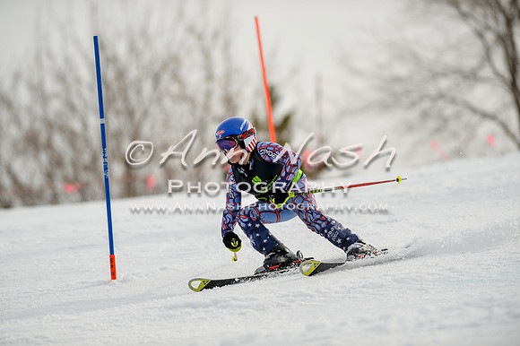 alpine-Feb19-2017-DSC_0393