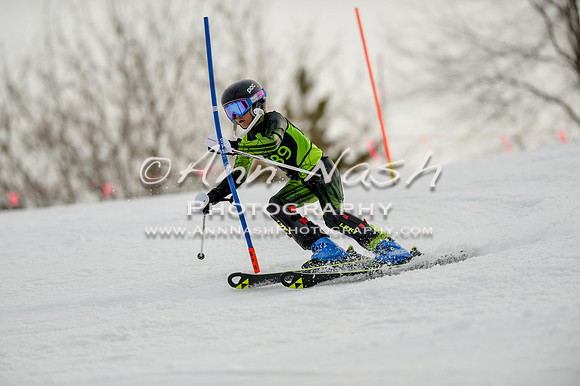 alpine-Feb19-2017-DSC_0742