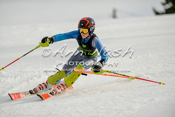 alpine-Feb19-2017-DSC_1274