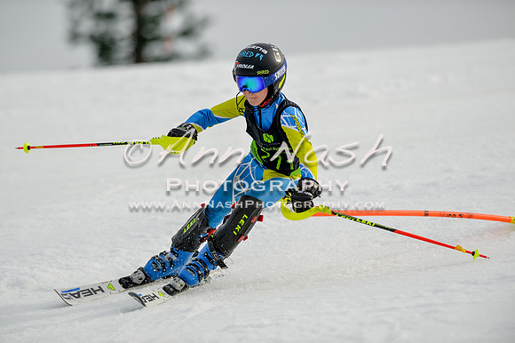 alpine-Feb19-2017-DSC_0336