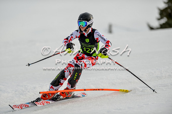 alpine-Feb19-2017-DSC_1083