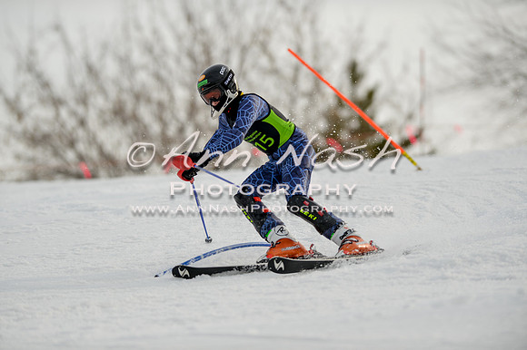 alpine-Feb19-2017-DSC_1093