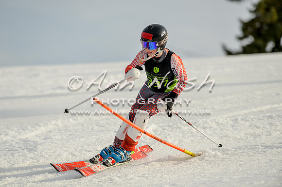 alpine-Feb19-2017-DSC_1448