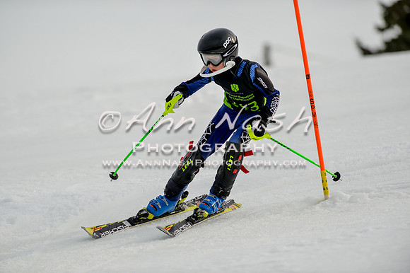 alpine-Feb19-2017-DSC_0983