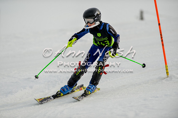 alpine-Feb19-2017-DSC_0984