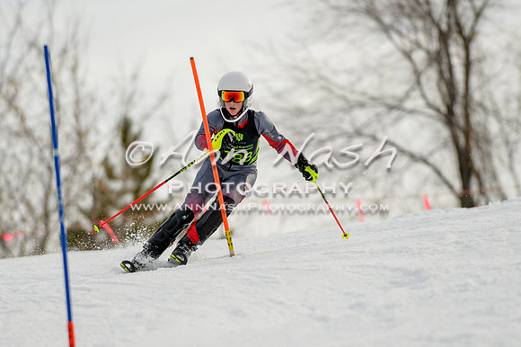 alpine-Feb19-2017-DSC_0911