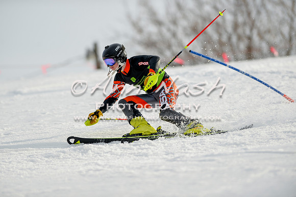 alpine-Feb19-2017-DSC_1366