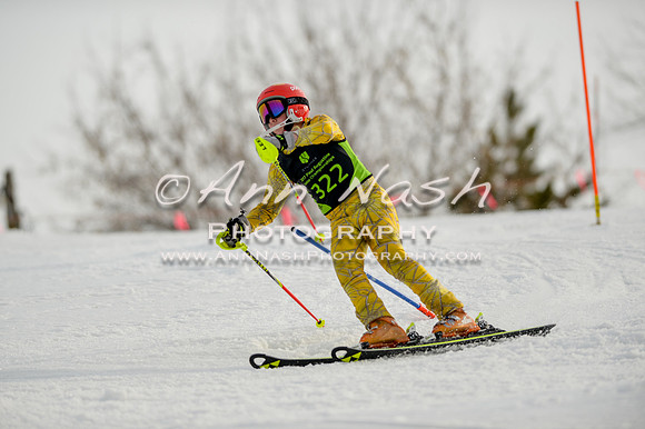 alpine-Feb19-2017-DSC_1191