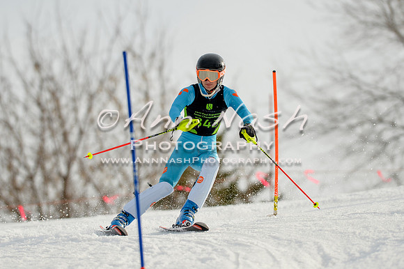 alpine-Feb19-2017-DSC_1295