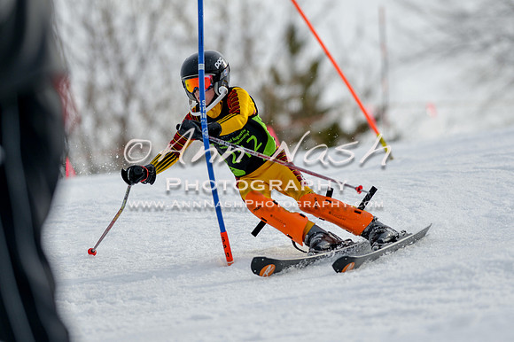 alpine-Feb19-2017-DSC_0937