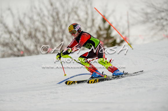 alpine-Feb19-2017-DSC_0757