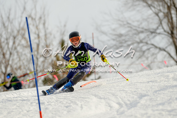 alpine-Feb19-2017-DSC_1377